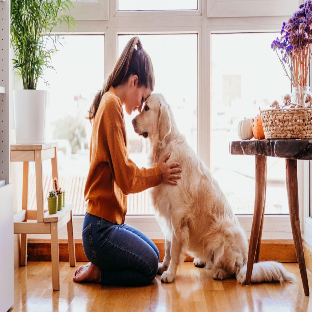 Köpek Sahiplenmenin Sağlığa Faydaları | 