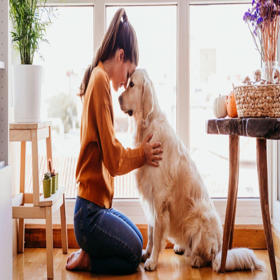 Köpek Sahiplenmenin Sağlığa Faydaları | 